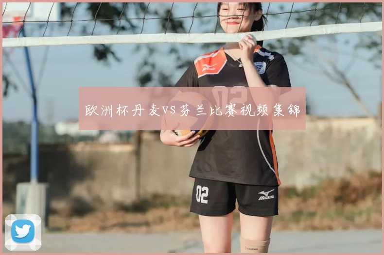 欧洲杯丹麦vs芬兰比赛视频集锦