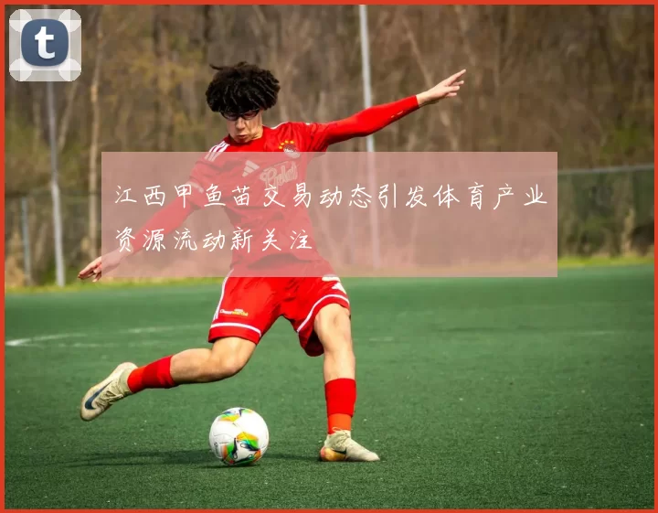 江西甲鱼苗交易动态引发体育产业资源流动新关注