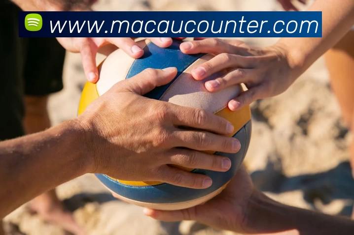 大阳城娱乐网站(中国)官方网站发展历程