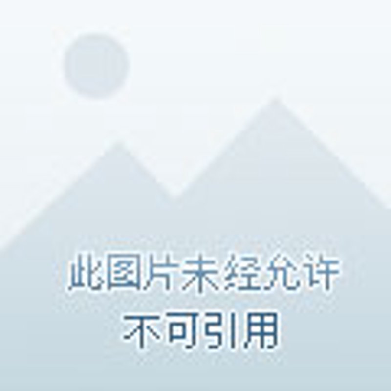 跨境进口电商,全球资源与消费者的亲密接触